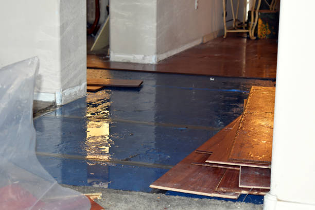 Professional Water Damage Restoration technician working in New Suffolk, NY